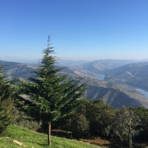 Douro Valley River