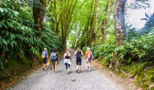 Azores-Finding-the-Best-Hike-Sao-Miguel