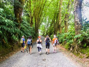 Azores-Finding-the-Best-Hike-in-Sao-Miguel-800-600