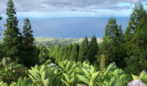 Sao-Miguel-Azores-Ocean-View