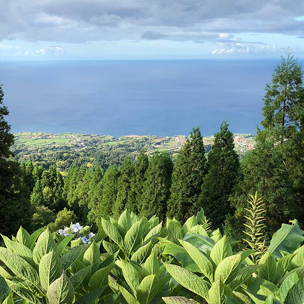 Sao-Miguel-Azores-Ocean-View