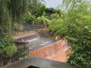 Dona-Beija-Hot-Spring-Lush-Green-Sao-Miguel