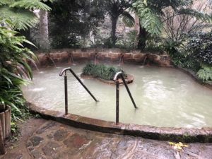 Terra-Nostra-Hotel-Hot-Spring-Furnas-Sao-Miguel