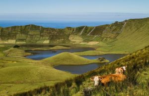 Corvo.Island-Azores-Crater-Lake-Cows