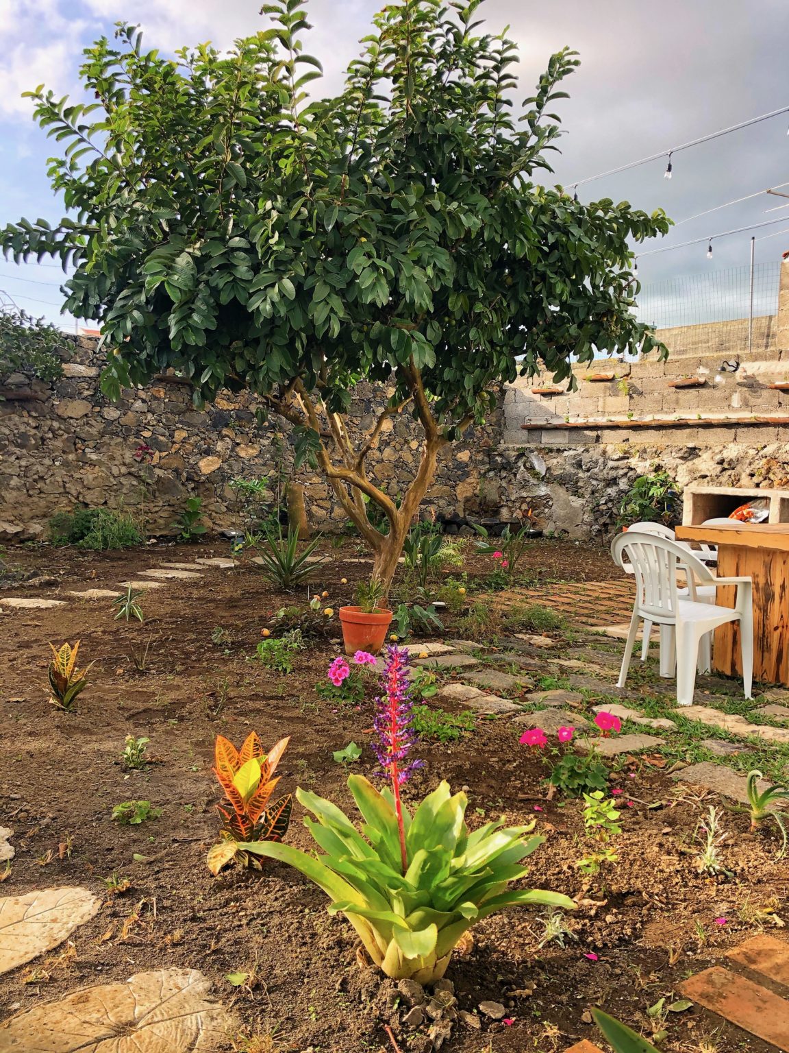 AzoresLuxuryApartmentSaoMiguelgardenFlowers 1 Travel Honey