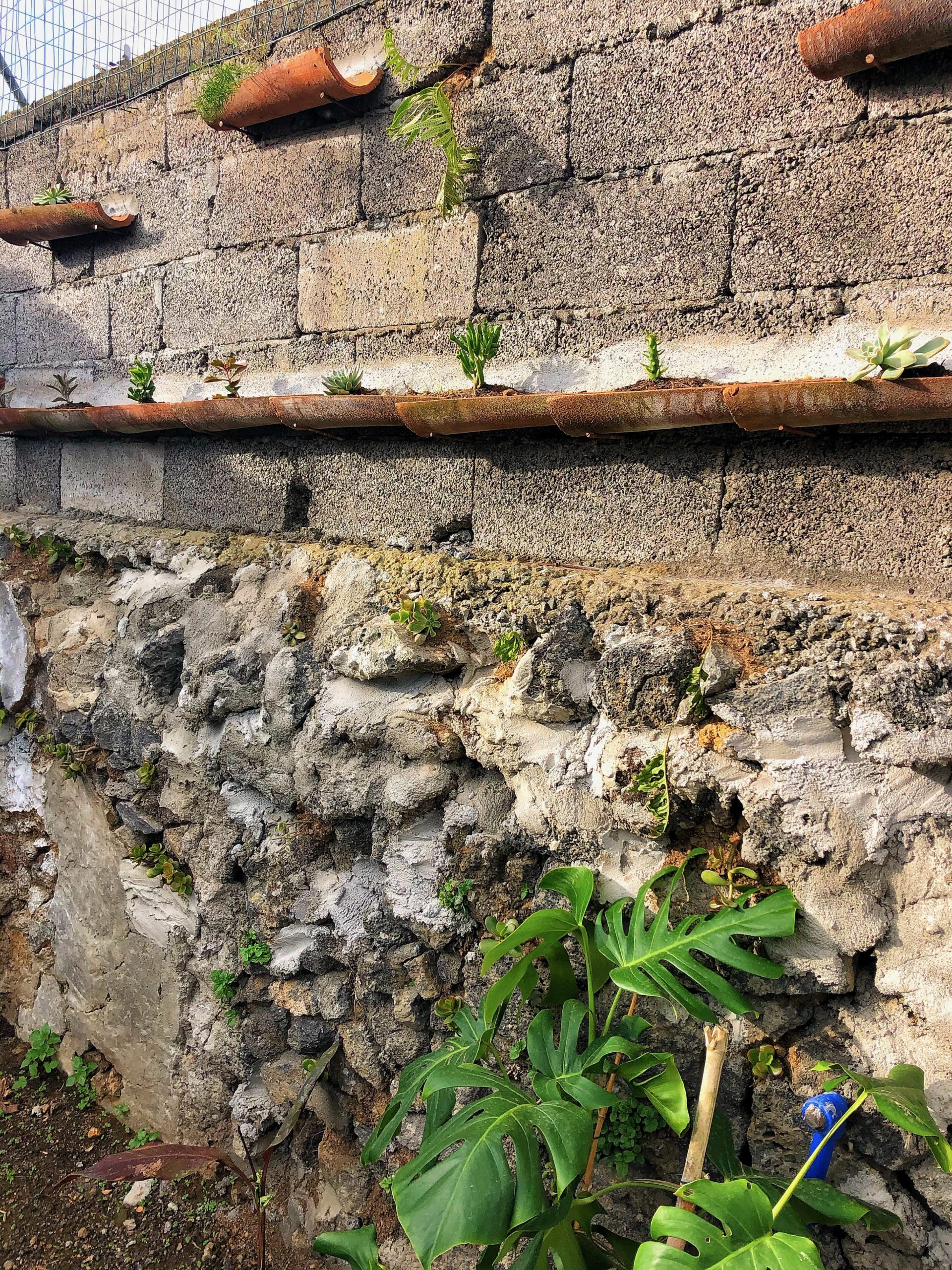 AzoresLuxuryApartmentSaoMiguelgardenWll 1 Travel Honey