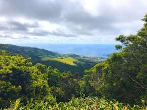 Azores-Sao-Miguel-Green-Overcast-in November