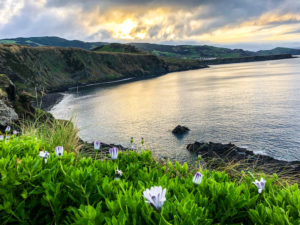 Azores-Sao-Miguel-Maia-Flowers-Sunset